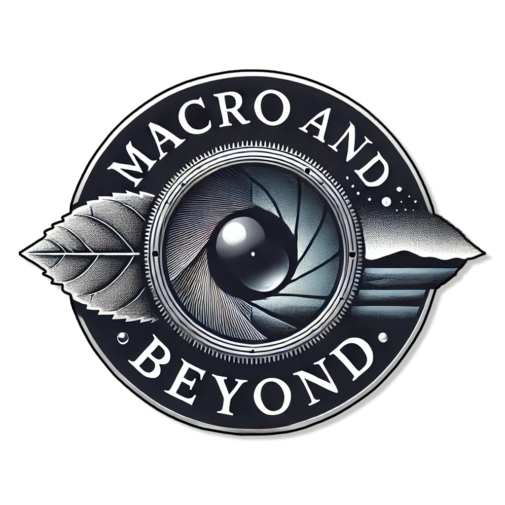 Macro & Beyond Studio